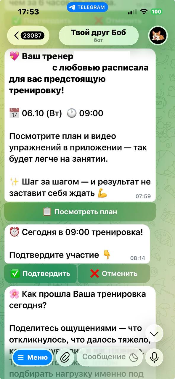 Бот в Telegram: сообщение о готовом плане с кнопкой «Посмотреть план», напоминание с кнопками «Подтвердить» и «Отменить»